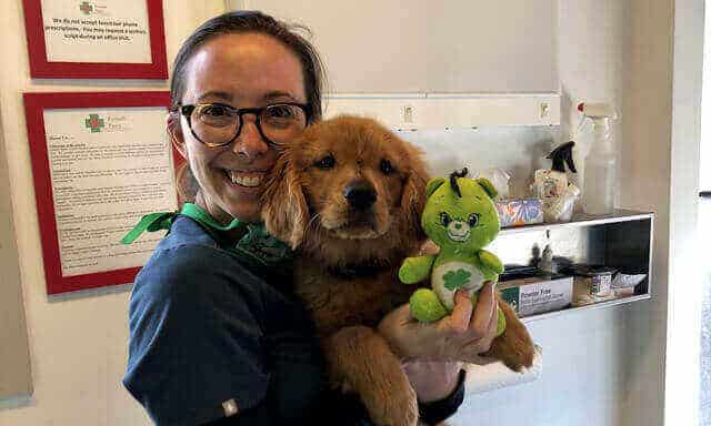 A puppy with one of our staff