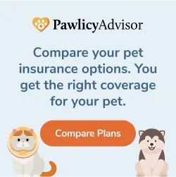 Pawlicy Advisor