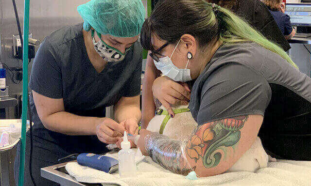 A patient being given some emergency treatment