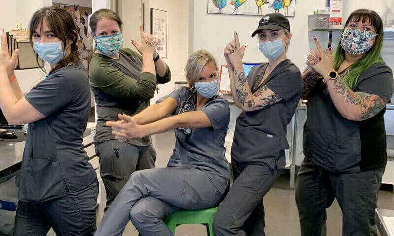 Parker's Paws Animal Hospital